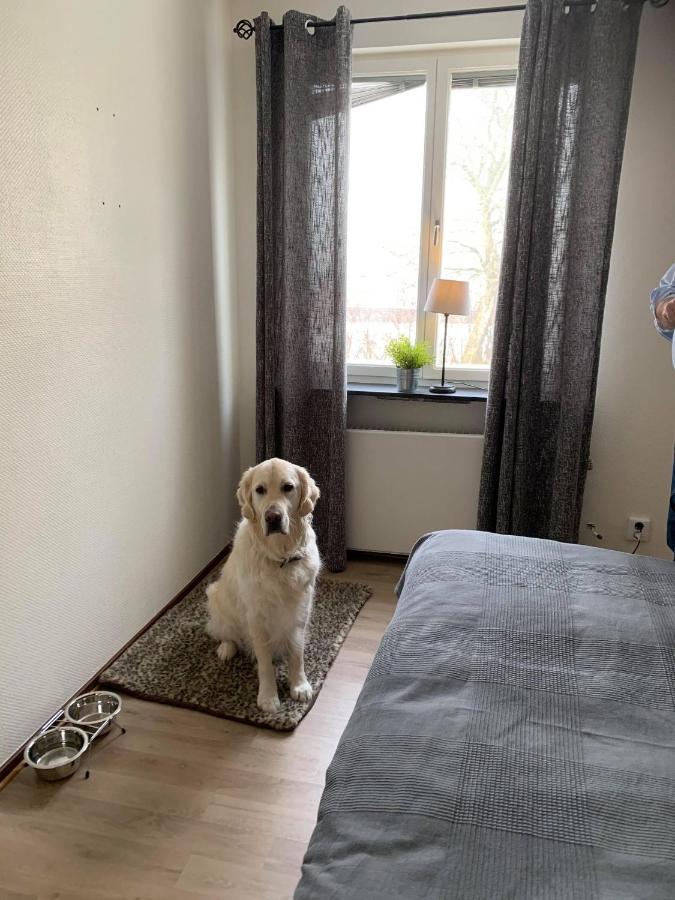 Bralanda Hotell Och Vandrarhem Экстерьер фото